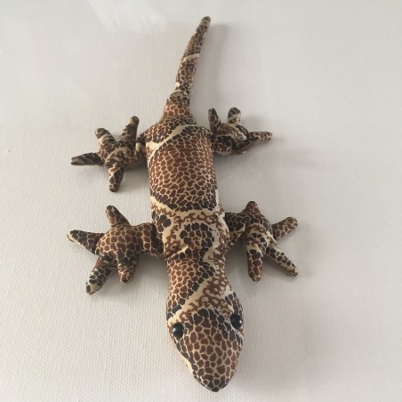Gecko